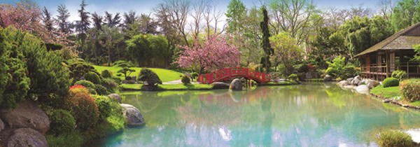 Jumbo (18571) - "Farbenfroher Garten" - 1000 Teile Puzzle