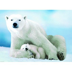Eurographics (6000-1198) - "Eisbär und Baby" - 1000 Teile Puzzle
