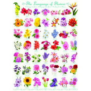 Eurographics (6000-0579) - "Die Blumensprache" - 1000 Teile Puzzle