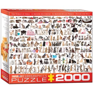 Eurographics (8220-0580) - "Katze" - 2000 Teile Puzzle