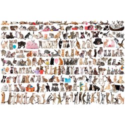Eurographics (8220-0580) - "Katze" - 2000 Teile Puzzle