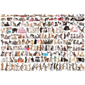 Eurographics (8220-0580) - "Katze" - 2000 Teile Puzzle