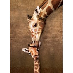 Eurographics (8500-0301) - "Kuss der Giraffenmutter" - 500 Teile Puzzle