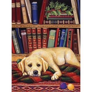SunsOut (51731) - "Lies mir was vor" - 1000 Teile Puzzle