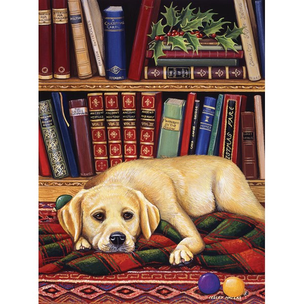 SunsOut (51731) - "Lies mir was vor" - 1000 Teile Puzzle