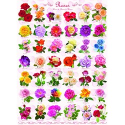 Eurographics (6000-0593) - "Rose" - 1000 Teile Puzzle