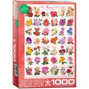 Eurographics (6000-0593) - "Rose" - 1000 Teile Puzzle