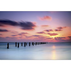 Educa (16304) - "Silky Smooth" - 1500 Teile Puzzle