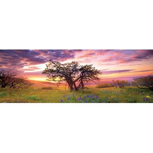 Heye (29472) - Alexander von Humboldt: "Eichenbaum" - 2000 Teile Puzzle