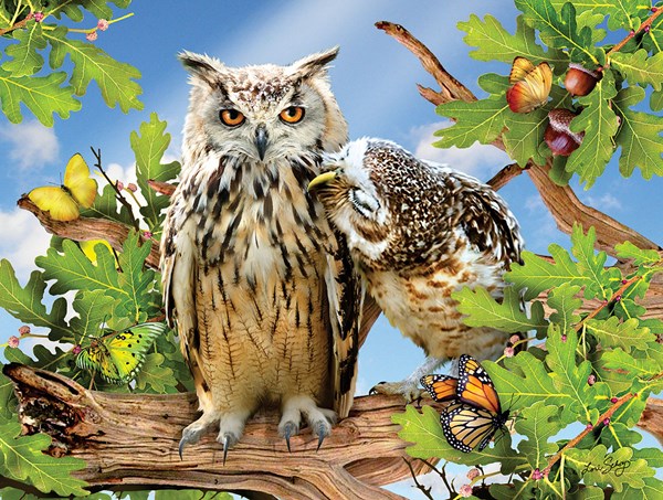 SunsOut (34950) - Lori Schory: "Owl Always Love You" - 500 Teile Puzzle