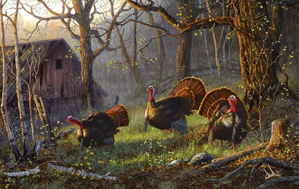 SunsOut (71075) - Terry Doughty: "Kings of the Hill" - 550 Teile Puzzle