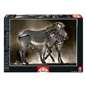 Educa (16359) - "Zebras" - 500 Teile Puzzle