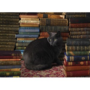 Cobble Hill (51830) - "Schwarze Katze in der Bibliothek" - 1000 Teile Puzzle
