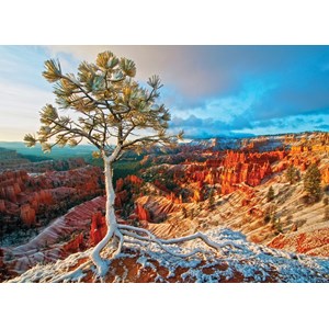Eurographics (6000-0692) - "Sonnenaufgang im Winter" - 1000 Teile Puzzle