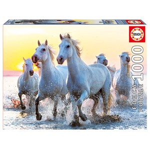 Educa (17105) - "Weiße Pferde bei Sonnenuntergang" - 1000 Teile Puzzle