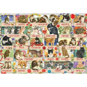 Jumbo (18324) - "Jubiläumskatzen" - 1000 Teile Puzzle