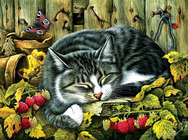 SunsOut (39425) - "Siesta" - 1000 Teile Puzzle