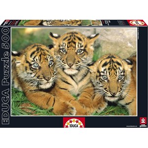 Educa (15965) - "Tiger Cubs" - 500 Teile Puzzle