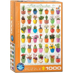 Eurographics (6000-0654) - "Kaktus und Sukkulenten" - 1000 Teile Puzzle