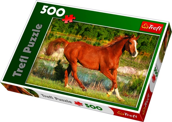 Trefl (371840) - "Pferd auf der Wiese" - 500 Teile Puzzle