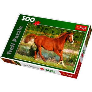 Trefl (371840) - "Pferd auf der Wiese" - 500 Teile Puzzle