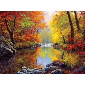 SunsOut (48535) - Charles White: "Naturschutzgebiet" - 1000 Teile Puzzle