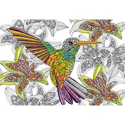 Educa (17083) - "Kolibri" - 300 Teile Puzzle