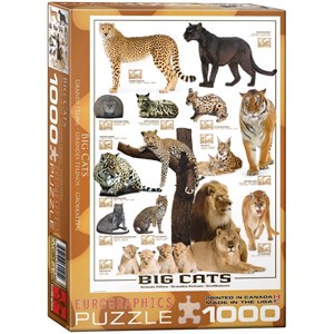 Eurographics (6000-0125) - "Große Raubkatzen der Welt" - 1000 Teile Puzzle