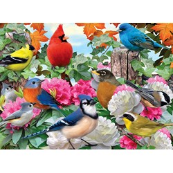 Ravensburger (14223) - Howard Robinson: "Garden Birds" - 500 Teile Puzzle