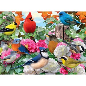 Ravensburger (14223) - Howard Robinson: "Garden Birds" - 500 Teile Puzzle