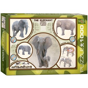 Eurographics (6000-0241) - "Der Elefant" - 1000 Teile Puzzle
