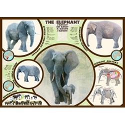 Eurographics (6000-0241) - "Der Elefant" - 1000 Teile Puzzle