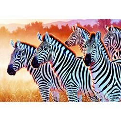 Trefl (261295) - "Zebras" - 1500 Teile Puzzle