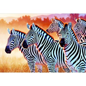 Trefl (261295) - "Zebras" - 1500 Teile Puzzle