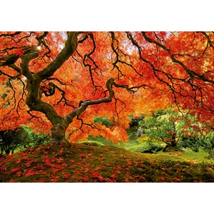 Educa (16310) - "Japanese Garden" - 1500 Teile Puzzle