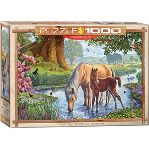 Eurographics (6000-0976) - Steve Crisp: "Pferde im Bach" - 1000 Teile Puzzle