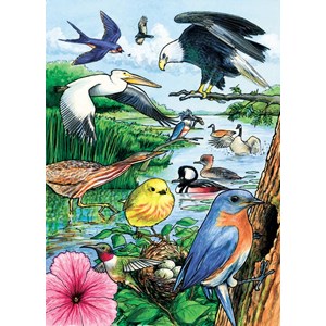 Cobble Hill (58809) - "North American Birds" - 35 Teile Puzzle