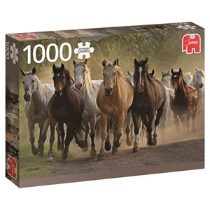 Jumbo (18541) - "Pferde" - 1000 Teile Puzzle