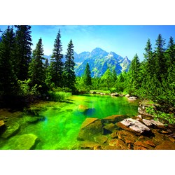 Trefl (371178) - "Tatra" - 500 Teile Puzzle