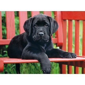 Clementoni (30346) - "Schwarzer Hund" - 500 Teile Puzzle