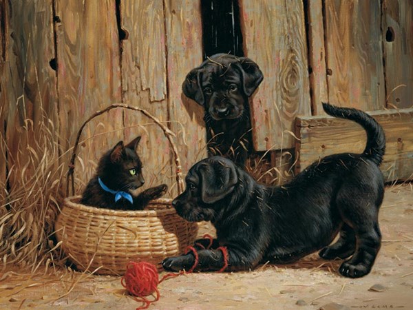 Cobble Hill (52068) - "Laute Nachbarn" - 500 Teile Puzzle