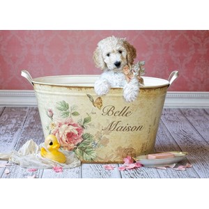 Educa (16736) - Lisa Jane: "Hündchen in der Badewanne" - 500 Teile Puzzle