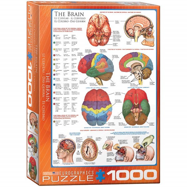 Eurographics (6000-0256) - "Das menschliche Gehirn" - 1000 Teile Puzzle