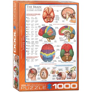 Eurographics (6000-0256) - "Das menschliche Gehirn" - 1000 Teile Puzzle