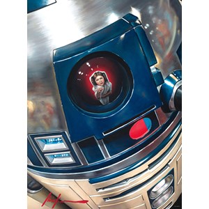 Buffalo Games (11806) - "Star Wars™ 40th Anniversary "You're My Only Hope"" - 1000 Teile Puzzle