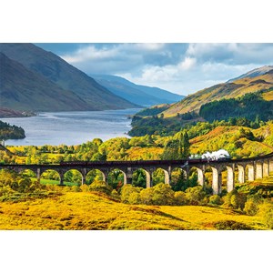 Educa (16749) - "Glenfinnan Viaduct, Scotland" - 1000 Teile Puzzle
