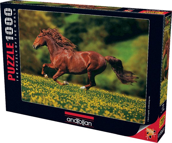 Anatolian (PER1026) - "Sprintendes Pferd auf der Wiese" - 1000 Teile Puzzle