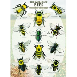 Eurographics (6000-0230) - "Die Welt der Bienen" - 1000 Teile Puzzle