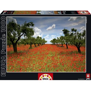 Educa (15992) - "Poppy Field" - 1000 Teile Puzzle