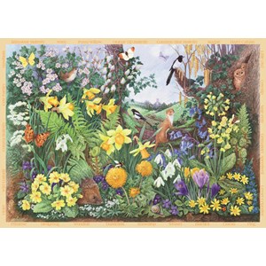 Falcon (11104) - "Tiere im Frühling und Sommer" - 500 Teile Puzzle